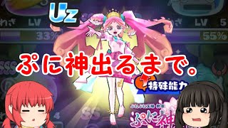 ミスコンぷに神（天真式）出るまで回す。【妖怪ウォッチぷにぷに】【ゆっくり実況】 [upl. by Llen]