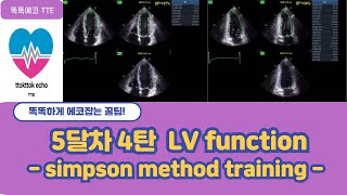 Simpson method training echocardiography 심장초음파 heart echo view simpson echo EF echo [upl. by Gwyneth]