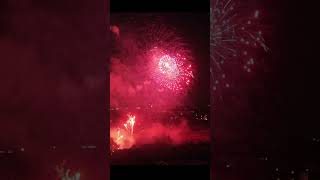 Lichterfest Westfalenpark Dortmund 2024 [upl. by Nylirej]