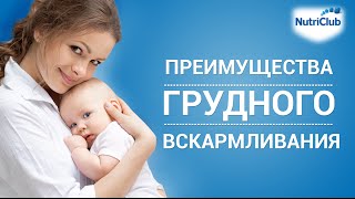 Грудное вскармливание преимущества и секреты [upl. by Ahsirkal634]