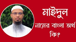 মাইদুল নামের অর্থ কি  Maidul meaning in Bangla  Maidul namer ortho ki [upl. by Matthia]