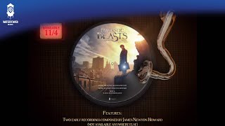 Fantastic Beasts and Where to Find Them Official Soundtrack  Vinyl Disc Animated Video  WaterTower [upl. by Idnyl104]