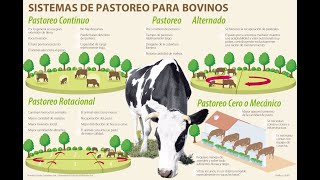 Porqué hacer pastoreo leve y pastoreo normal  Agricultura Necesaria [upl. by Luapsemaj]