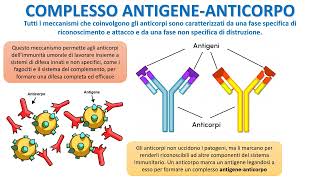 LA RISPOSTA IMMUNITARIA UMORALE [upl. by Naugan]