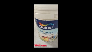 DuluX promise exterior walls paint 🔥😀 [upl. by Pascasia]