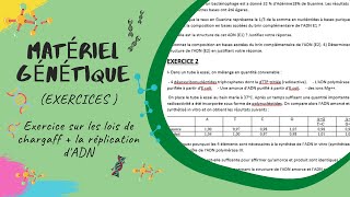 Matériel Génétique EXERCICES  les lois de chargaff  la réplication de lADN L2 SNV Génétique [upl. by Frantz]