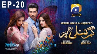 Ghar Titli Ka Par  Episode 20  HAR PAL GEO [upl. by Holbrooke280]