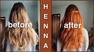 Henna Hair Dye DIY Coloring Experience [upl. by Ambrosi]