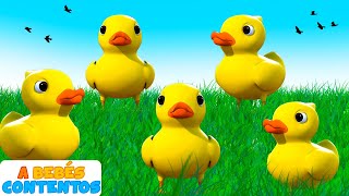 A Bebés Contentos  Cinco Patitos 🐤  3D Canciones Infantiles [upl. by Allenod]