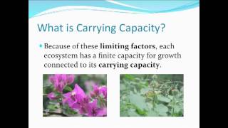 Limiting Factors and Carrying Capacity [upl. by Mareah]