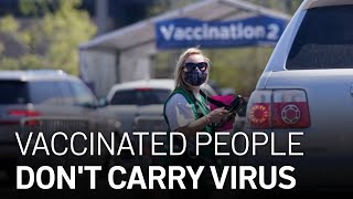 Vaccinated Individuals Dont Carry Virus Or Get Sick CDC [upl. by Pardo782]