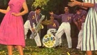 Henri Bource All Stars  Rock Medley 1958 Rock nRoll Dance Party Planet  PP 016wmv [upl. by Tarrsus]