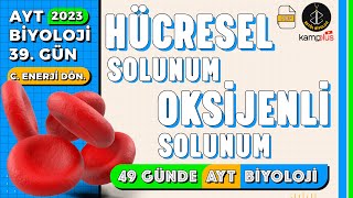 39 Hücresel Solunum ve Oksijenli Solunum  Canlılarda Enerji Dönüşümleri  AYT Kampı 39 Gün [upl. by Templas157]