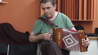 Emma Finnish Waltz  Anahata melodeon [upl. by Artnoed33]