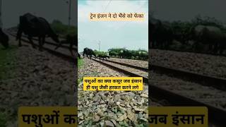 Train amazing horn train status train ki awaaz trainhorn shortviral ytshorts shorts [upl. by Bertram383]