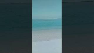 Beach youtubeshorts shortvideo shortfeed [upl. by Anilehcim995]