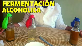 Experimento casero sobre la fermentación alcohólica ¿Cómo se elabora el pan👩‍🔬🍞 [upl. by Sophronia]