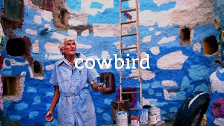 Cowbird  A Life Story 2014 [upl. by Nylarac]