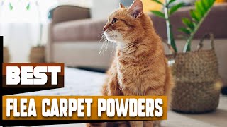 Best Flea Carpet Powder In 2024  Top 10 Flea Carpet Powders Review [upl. by Attenoj780]