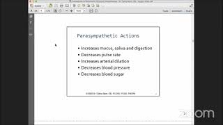 Introduction to Optometric Syntonic Phototherapy [upl. by Oidualc]