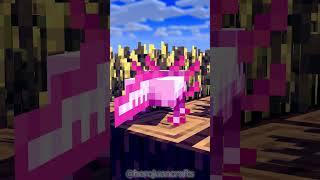 Dancing with axolotl minecraft foryoupage funny [upl. by Berthold773]