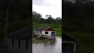 RIBEIRINHOS DA AMAZÔNIA Comunidade ribeirinha Jardim do Éden de Ajaratuba Rio Solimões Amazonas [upl. by Giraud124]