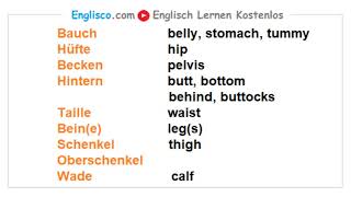 Körperteile auf Englisch [upl. by Erinn577]