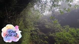 ASMR en la Naturaleza 🌧️ Gotas de Agua Cayendo [upl. by Ahsaelat292]