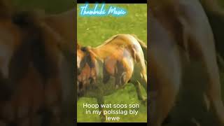 Neem My Op Vlerke  Anneli van Rooyen Sensasie Remix [upl. by Trin]