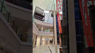 Midriff City Center 🇦🇪🦅 song love shortsfeed shoppingcenter tysonmirza [upl. by Aronek987]