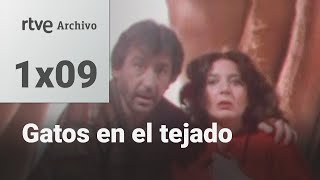 Gatos en el tejado Capítulo 9  Los tres pies del gato  RTVE Archivo [upl. by Macintosh]