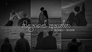 නිදහසේ අහන්න sinhala slowed  Reverb Collections  DEZTER BEATS [upl. by Ennayelsel]