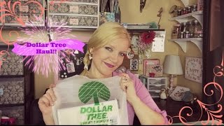 Dollar Tree haul March 22nd 2016 New cute Items [upl. by Aneladdam489]