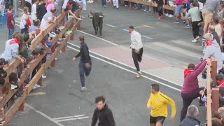 El vídeo de los encierros de Majadahonda y las crónicas de la corrida de toros 2024 [upl. by Nnylacissej436]