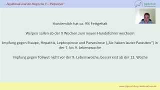 Jägerprüfung Niedersachsen Jagdhunde und die MAGISCHE 9  Welpenzeit [upl. by Samantha]