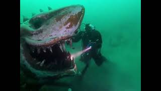 Terrifying underwater shark statue at Lake Neuchatel in Switzerland  mysterious thing  discoveries [upl. by Adalheid]