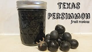 Texas Persimmon Diospyros texana  Weird Fruit Explorer Ep 229 [upl. by Lydia]