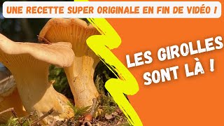 Les girolles sont là [upl. by Greerson]