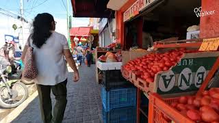 Visitando el Mercado de Uriangato Guanajuato [upl. by Candide]