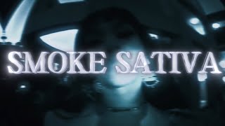 Weez  Smoke Sativa official Lyrics Video [upl. by Greenwell849]