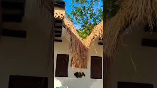 Murang Resort sa batangas chill jhaypugevlog shortvideo travel beachresort beach batangas [upl. by Joon]