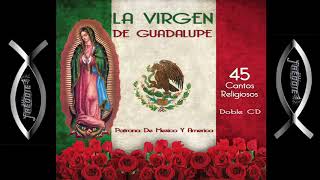 45 Cantos A La Virgen De Guadalupe  Varios Artistas [upl. by Hctub]