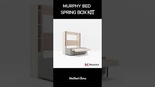 MBK8 queensize Murphy bed with sofa easy diy spring box hardware kit for all size of murphy bed [upl. by Burch941]