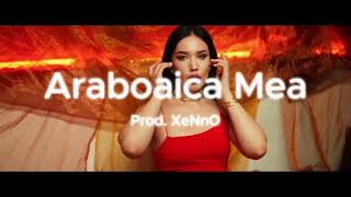 FREE Tzanca Uraganu ❌ Bogdan DLP type Beat I Manele 2024 🐪  quotAraboaica Meaquot  prod XeNnO09 [upl. by Ryun264]