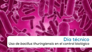 Uso de bacillus thuringiensis en el control biológico [upl. by Eeliak]