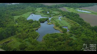 Celebrating the Centenary of Gosforth Nature Reserve [upl. by Clover]