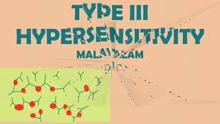 TYPE III HYPERSENSITIVITY REACTIONS  IMMUNE COMPLEX MEDIATED  MALAYALAM [upl. by Anirroc388]