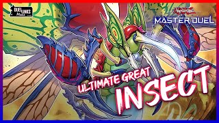 The Ultimate Great INSECT Deck YuGiOh Master Duel [upl. by Eliott]