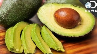 Everything You Need To Know About Avocados [upl. by Remlap684]