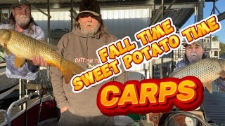 Carp Fishing Sweet Potato Bait Around Docks [upl. by Leuamme]